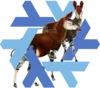 21.05 Okapi logo